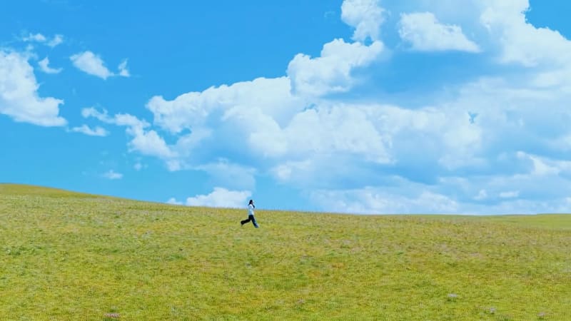 喀拉峻草原奔跑