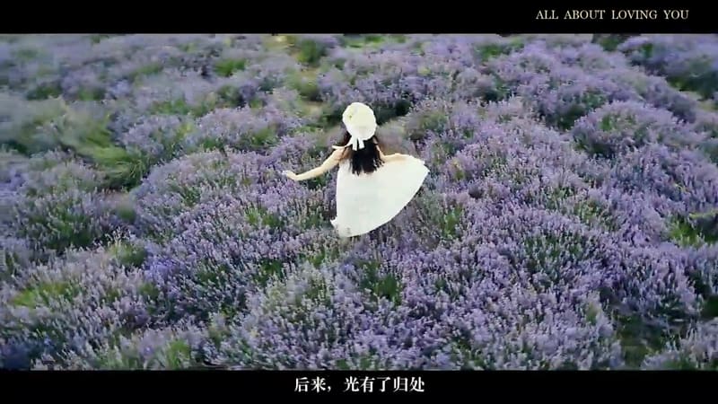如果没有遇见你