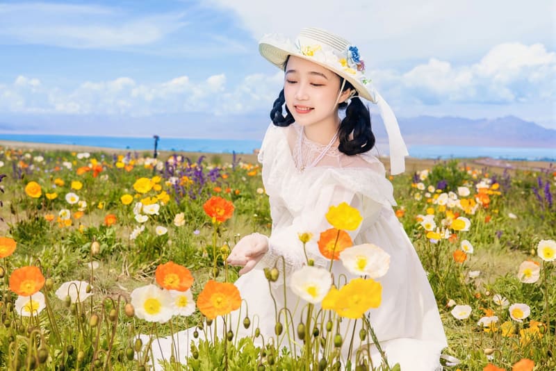 赛里木湖虞美人花海